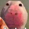 Profile Picture - fuggl3rl0ver