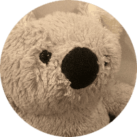 Profile Picture - koalamiffy