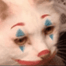 Profile Picture - whostolemyeggs