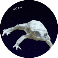 Profile Picture - froggy_having_a_crisis