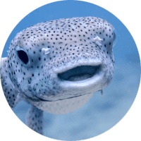 Profile Picture - demiloveskandi