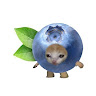 Profile Picture - turtleswithoutsocks