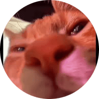 Profile Picture - bestboi10