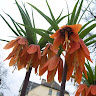 Profile Picture - hkolodziej