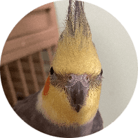 Profile Picture - evil_freaky_billy