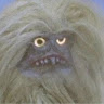 Profile Picture - loopertwu